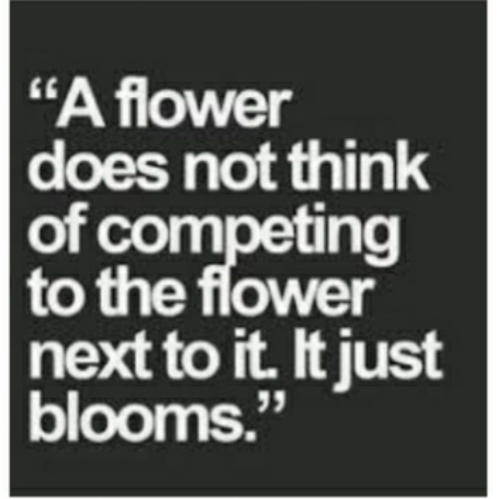 Meet your Posher, Baibphat21